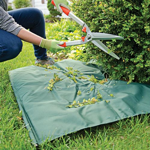 Tree-ShrubPruning